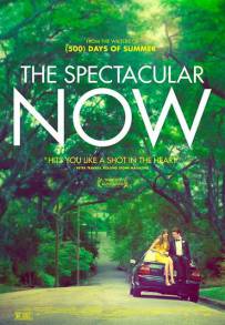 The Spectacular Now (2013)