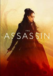 The Assassin (2015)