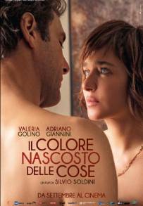 Il colore nascosto delle cose (2017)