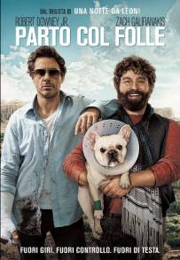 Parto col folle (2010)