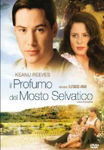 Il profumo del mosto selvatico (1995)