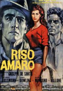 Riso amaro (1949)