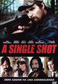 A Single Shot (2013)