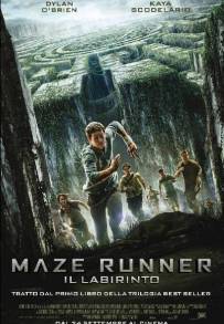 Maze Runner - Il labirinto (2014)