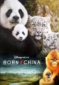 Born in China (2017)