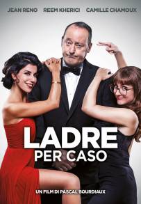 Ladre per caso (2017)