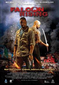 Falcon Rising (2014)