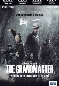 The Grandmaster (2013)