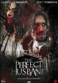 The Perfect Husband (2014)