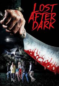 Lost After Dark (2014)