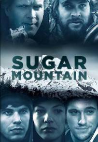 Sugar Mountain (2016)