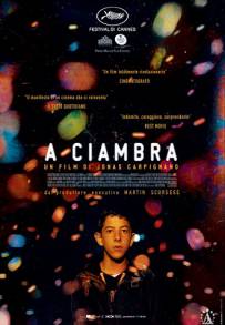 A Ciambra (2017)