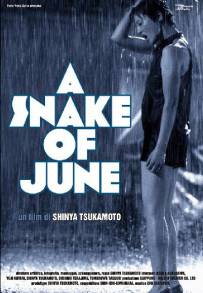 A Snake of June - Un serpente di giugno (2002)