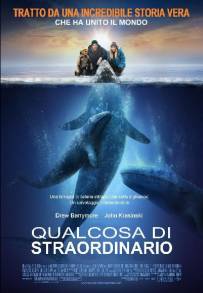 Qualcosa di straordinario (2012)