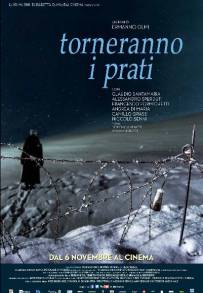 Torneranno i prati (2014)