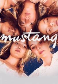 Mustang (2015)