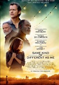 Diverso come me (2017)