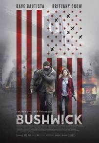 Bushwick (2017)