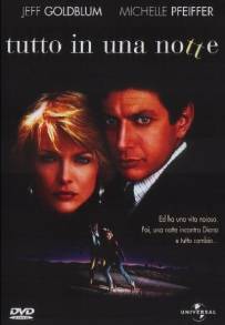 Tutto in una notte (1985)