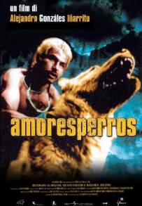 Amores perros (2000)