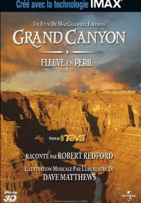 Grand Canyon Adventure: River at Risk (2008)