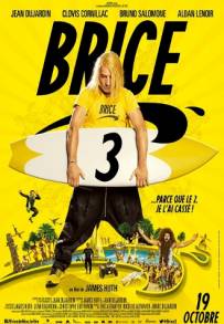 Brice contro Brice (2016)