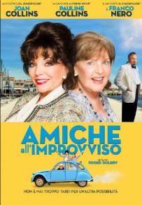 Amiche all'improvviso (2017)