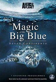 The Magic of The Big Blue (2013)