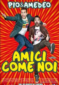 Amici come noi (2014)