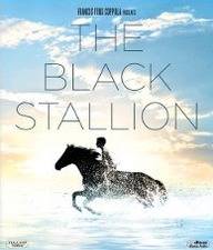 Black Stallion (1979)