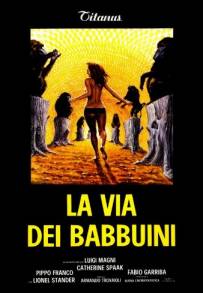 La via dei babbuini (1974)