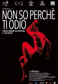 Non so perchè ti odio (2014)