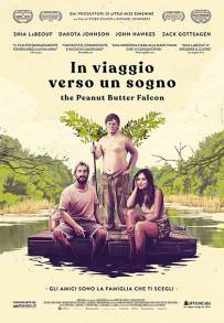 In Viaggio verso un Sogno (2019)