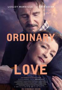 Ordinary Love - Un amore come tanti (2019)