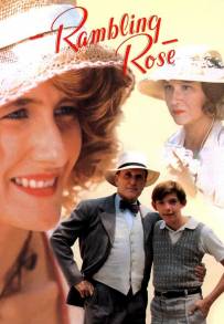 Rosa scompiglio e i suoi amanti (1991)