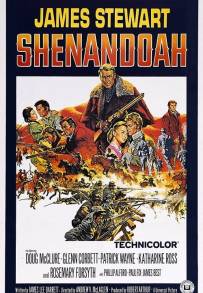 Shenandoah, la valle dell'onore (1965)