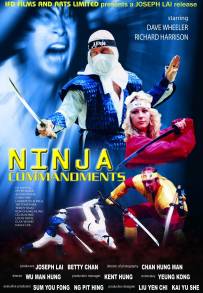 Ninja Commandments (1987)