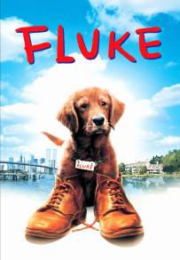 Fluke (1995)