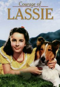 Il coraggio di Lassie (1946)