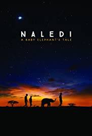 Naledi: A Baby Elephant' s Tale (2016)