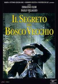 Il segreto del bosco vecchio (1993)