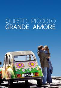 Questo piccolo grande amore (2009)