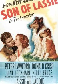 Il figlio di Lassie (1945)