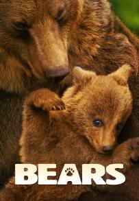 Bears (2014)