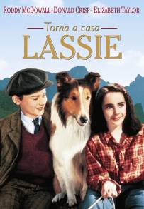 Torna a casa Lassie! (1943)