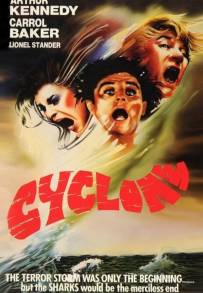 Cyclone - Ciclone (1978)