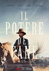 Il potere del cane (2021)