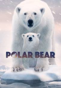 Polar Bear (2022)