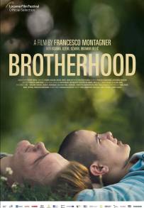 Brotherhood (2022)