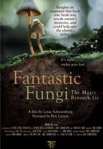 Funghi fantastici (2019)